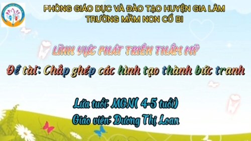 Lĩnh vực phát triển thẩm mỹ